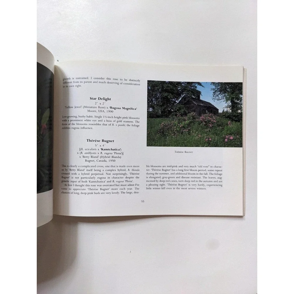 ROSA RUGOSA (1991) by Suzanne Verrier photographs by Charles Steinhacker VTG